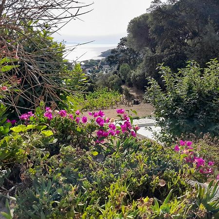 Villa Gualdo Piscina Vista Mare Capoliveri  Εξωτερικό φωτογραφία